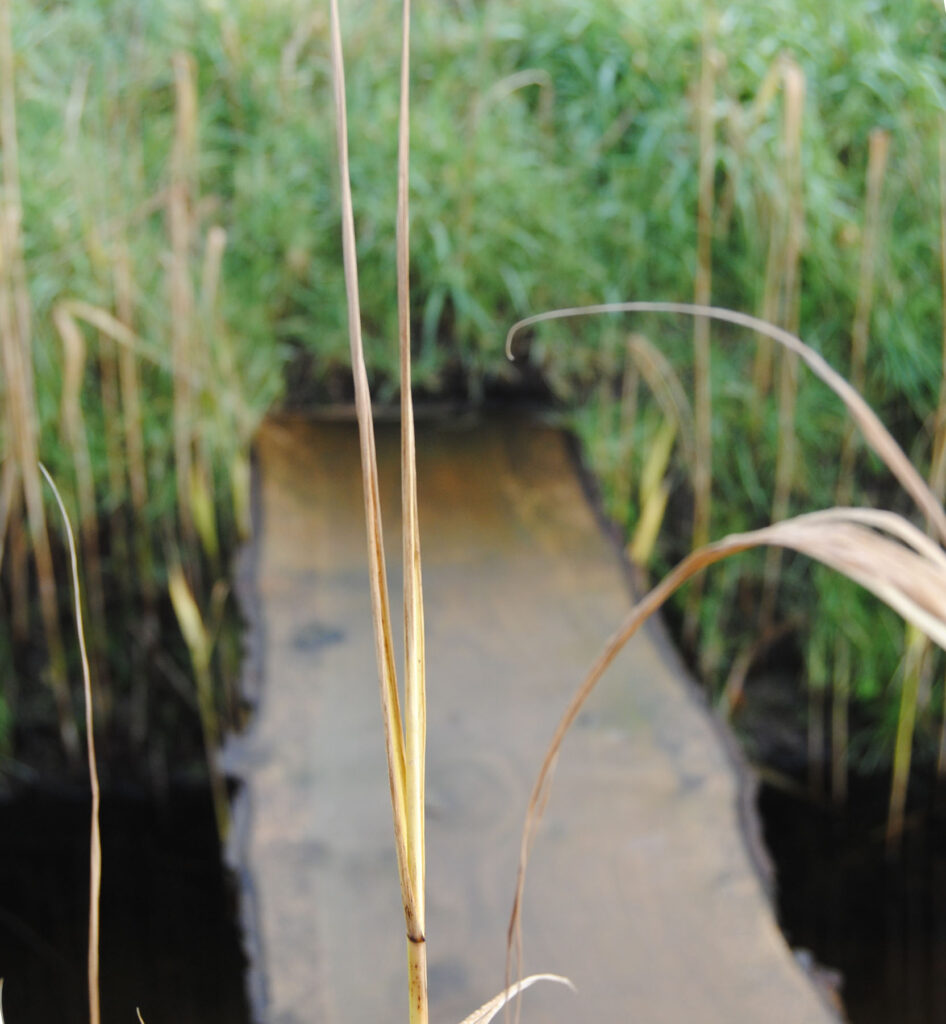 instaspots? Meditatiespots Terschelling