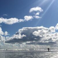 Deze hashtags werken met Oerol Terschelling